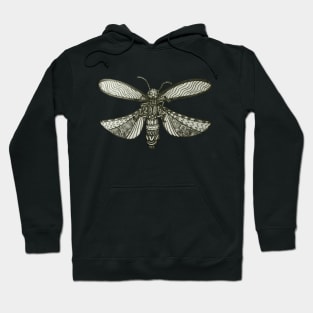 Lightening Bug Hoodie